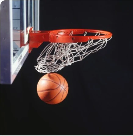 BAL: Nigeria out, 8 teams reach playoffs