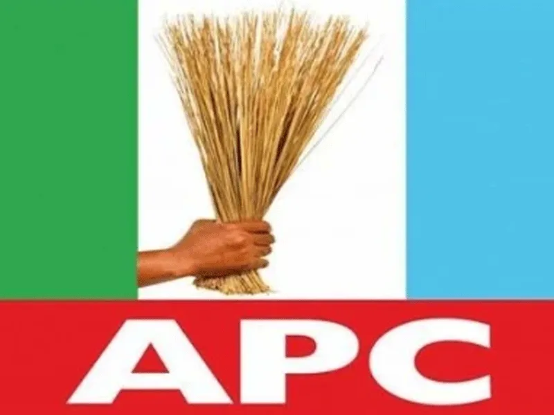 2027: APC risk losing Kwara if allegations of exclusion against Governor AbdulRazaq is not addressed – Group