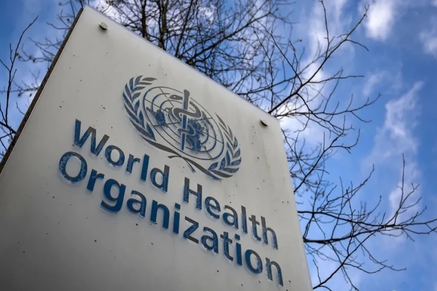 Unsafe food causes 1.5 million deaths annually — WHO