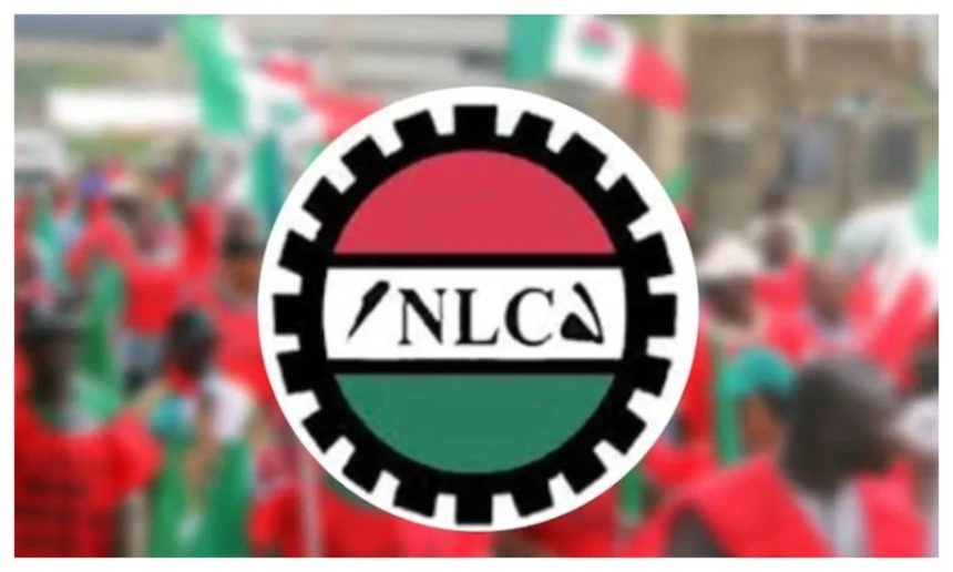 NLC calls for mass campaign against xenophobic violence in South Africa