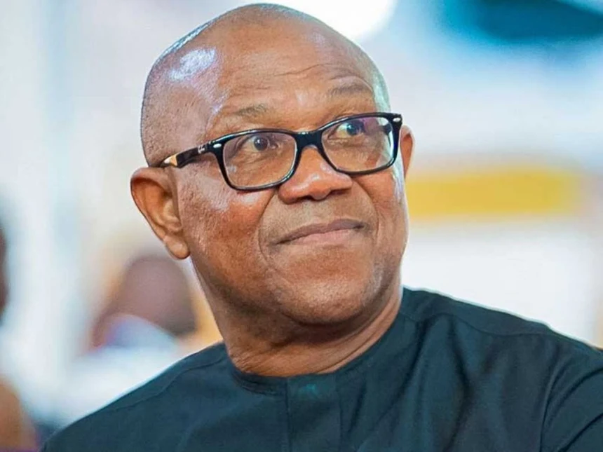 Peter Obi raises concern over personal safety, alleges government frustration