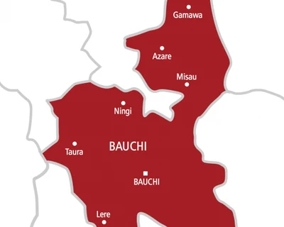 Two men killed in Bauchi mob attack over false theft claim