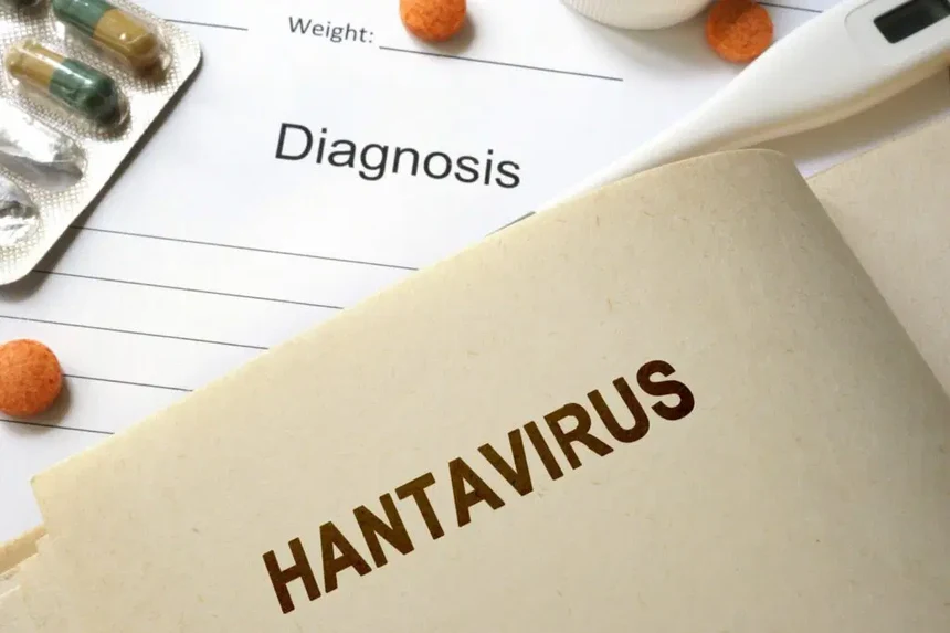 Three die on cruise ship amid suspected hantavirus outbreak between Argentina and Cape Verde