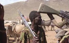 15 killed in suspected herdsmen attack on Ugboju community in Benue