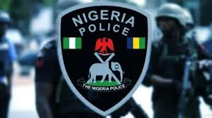 Police Raid Black Spots in Delta, Arrest 81 Suspects