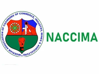 Nigeria’s Credit System Fails MSMEs Despite $500m FINCLUDE Push