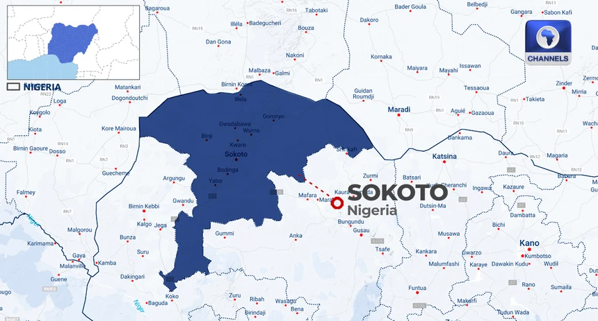 Meningitis Claims 33 Young Lives in Sokoto Amid Treatment Delays