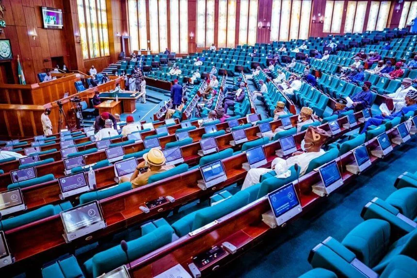 Repatriation of Trafficked Nigerians Must Include Rehabilitation, Lawmakers Urge