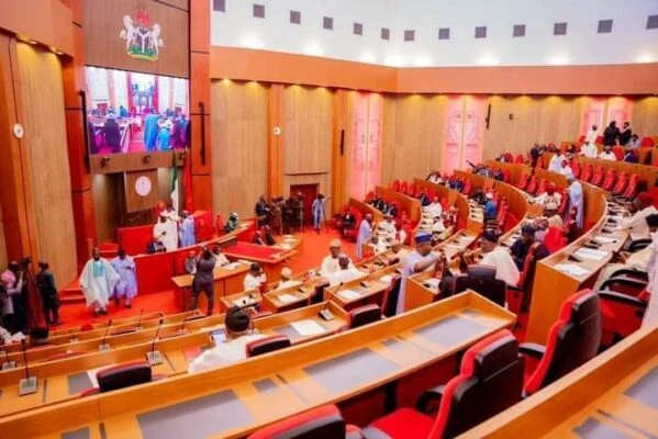 Kebbi Senator Criticises Rushed Passage of State Police Bill in National Assembly